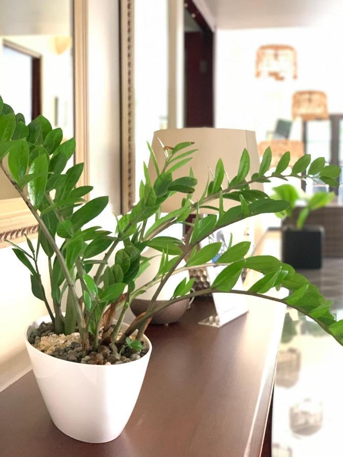 Hotel Mango Airport Rio Segundo Ngoại thất bức ảnh